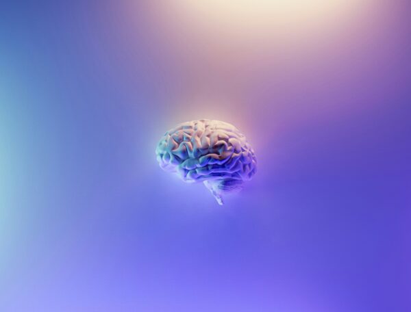 Brain Unsplash dominik Scherrer