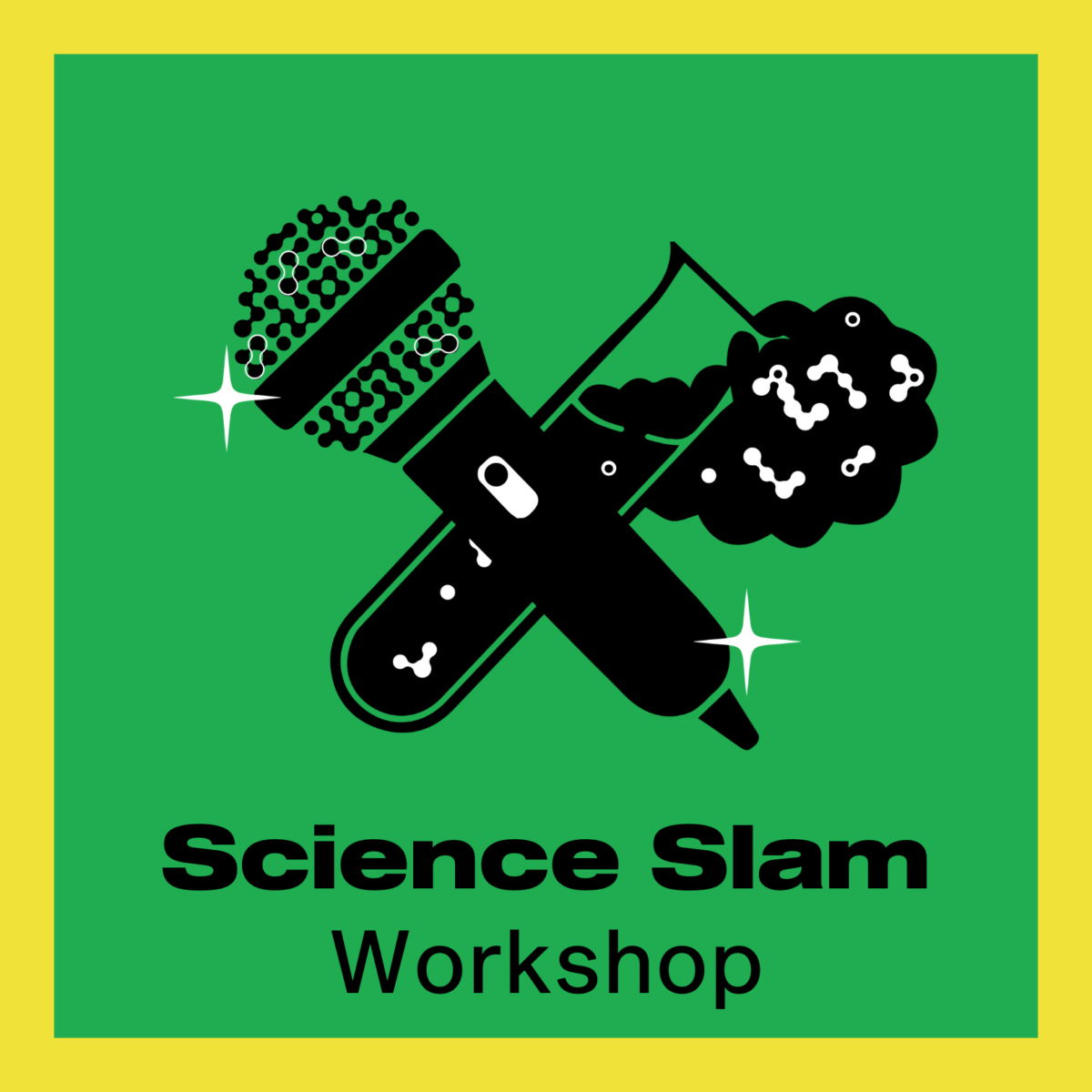 Science Slam Workshop