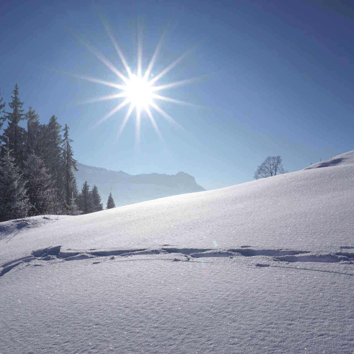 Winter hike 23