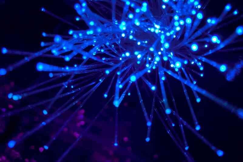 Network