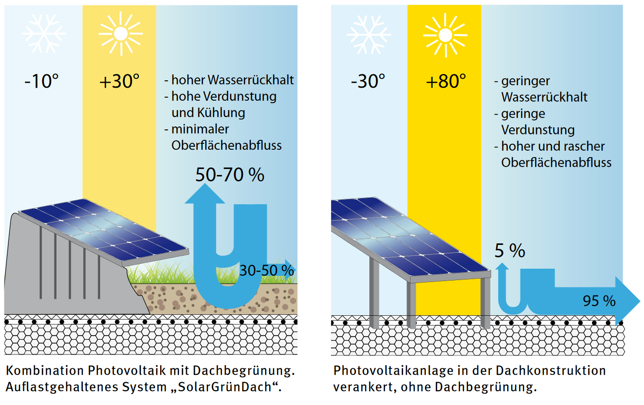 Dachgrün