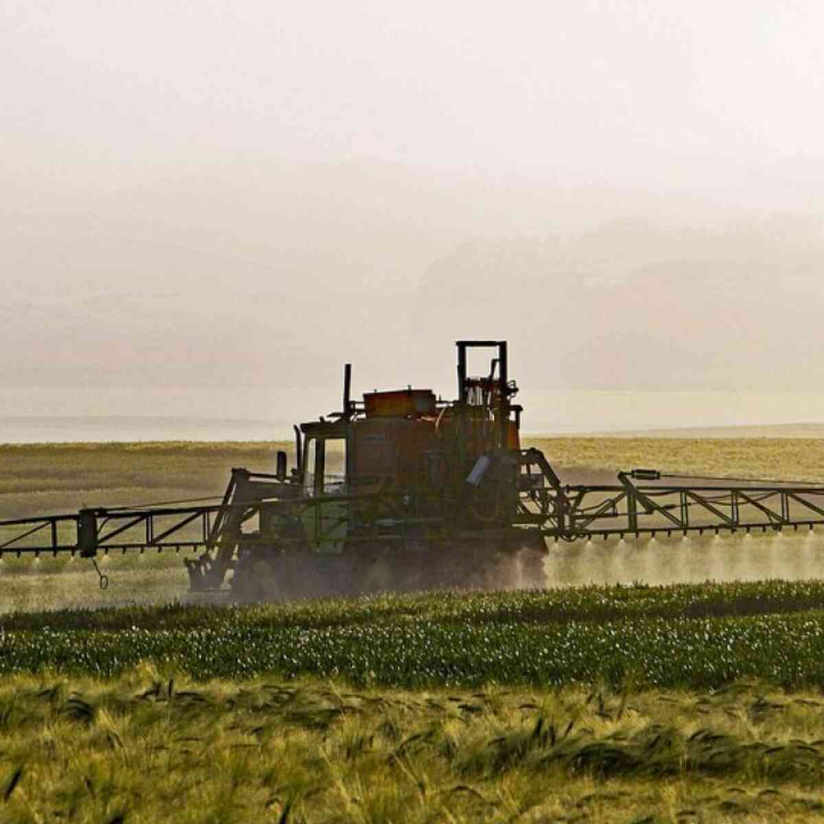 Agriculture 1359862 960 720