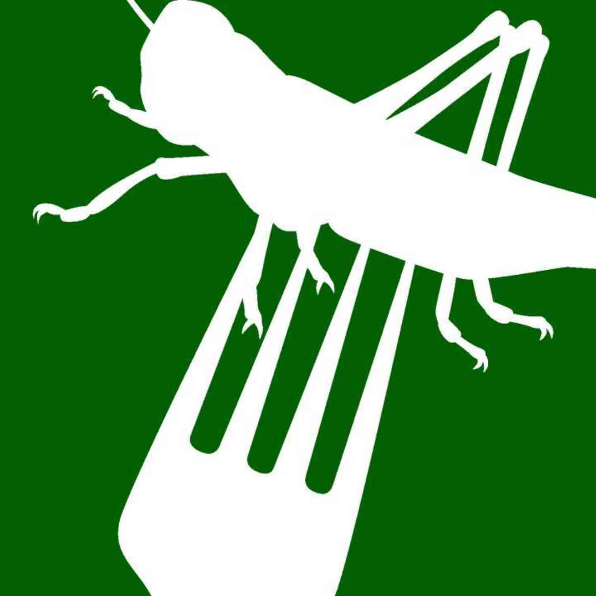 Icon insektenausstellung weiss 1m2