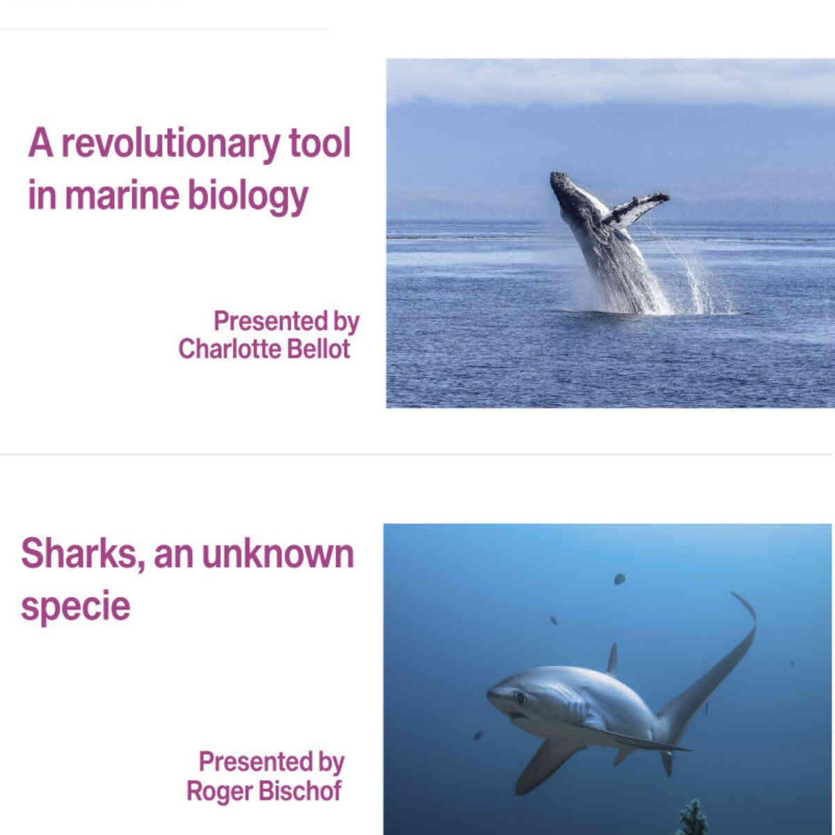 Nanotalks website image mar22