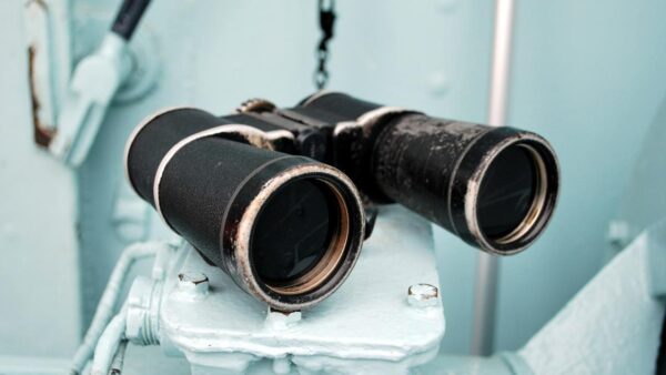 2016 01 02 binoculars