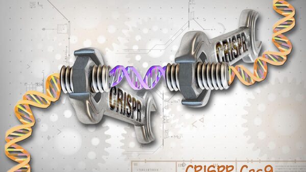 Crispr