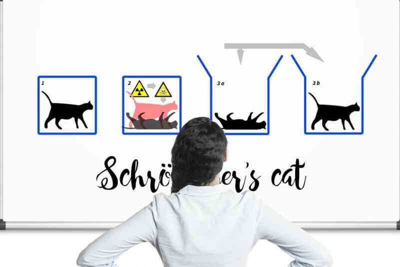 Schroedingers katze